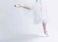 Rehearsal romantic tutu practice skirt
